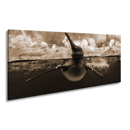 Leinwandbild Pinguin gleitet elegant durch eisiges, klares Wasser. - deyoli