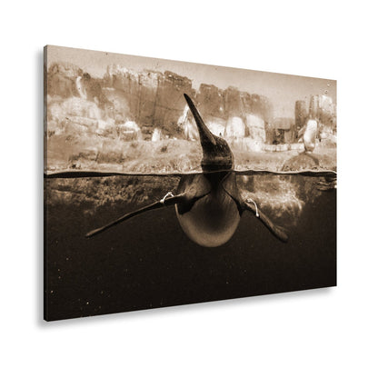 Leinwandbild Pinguin gleitet elegant durch eisiges, klares Wasser. - deyoli