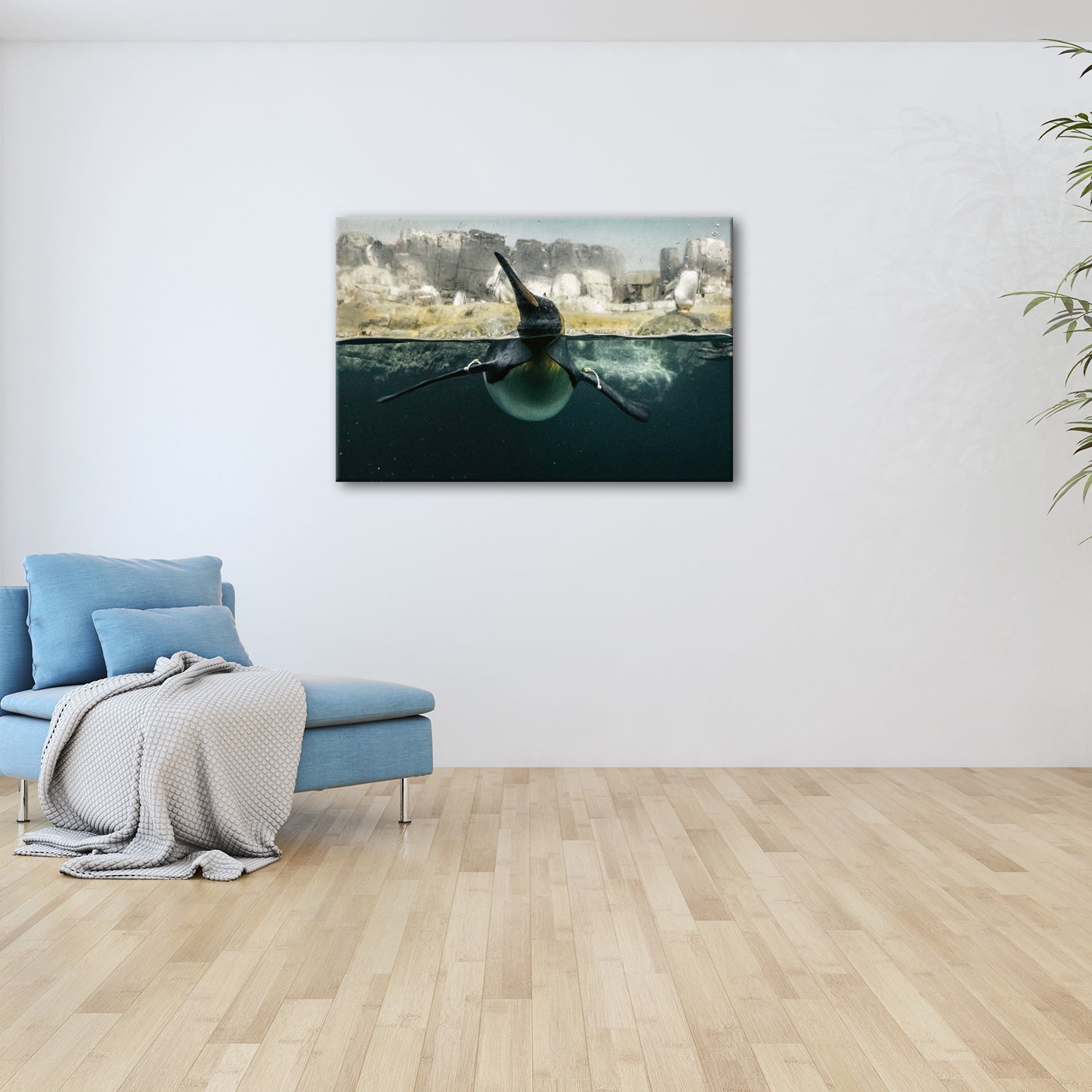 Leinwandbild Pinguin gleitet elegant durch eisiges, klares Wasser. - deyoli