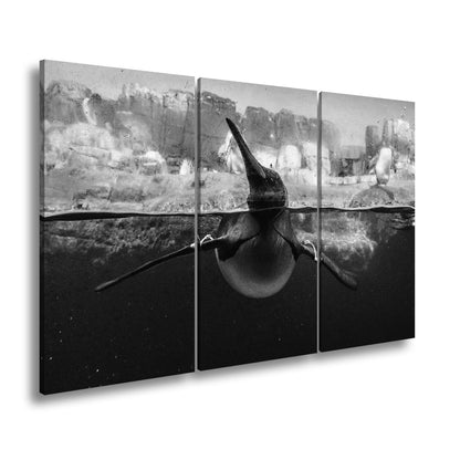 Leinwandbild Pinguin gleitet elegant durch eisiges, klares Wasser. - deyoli