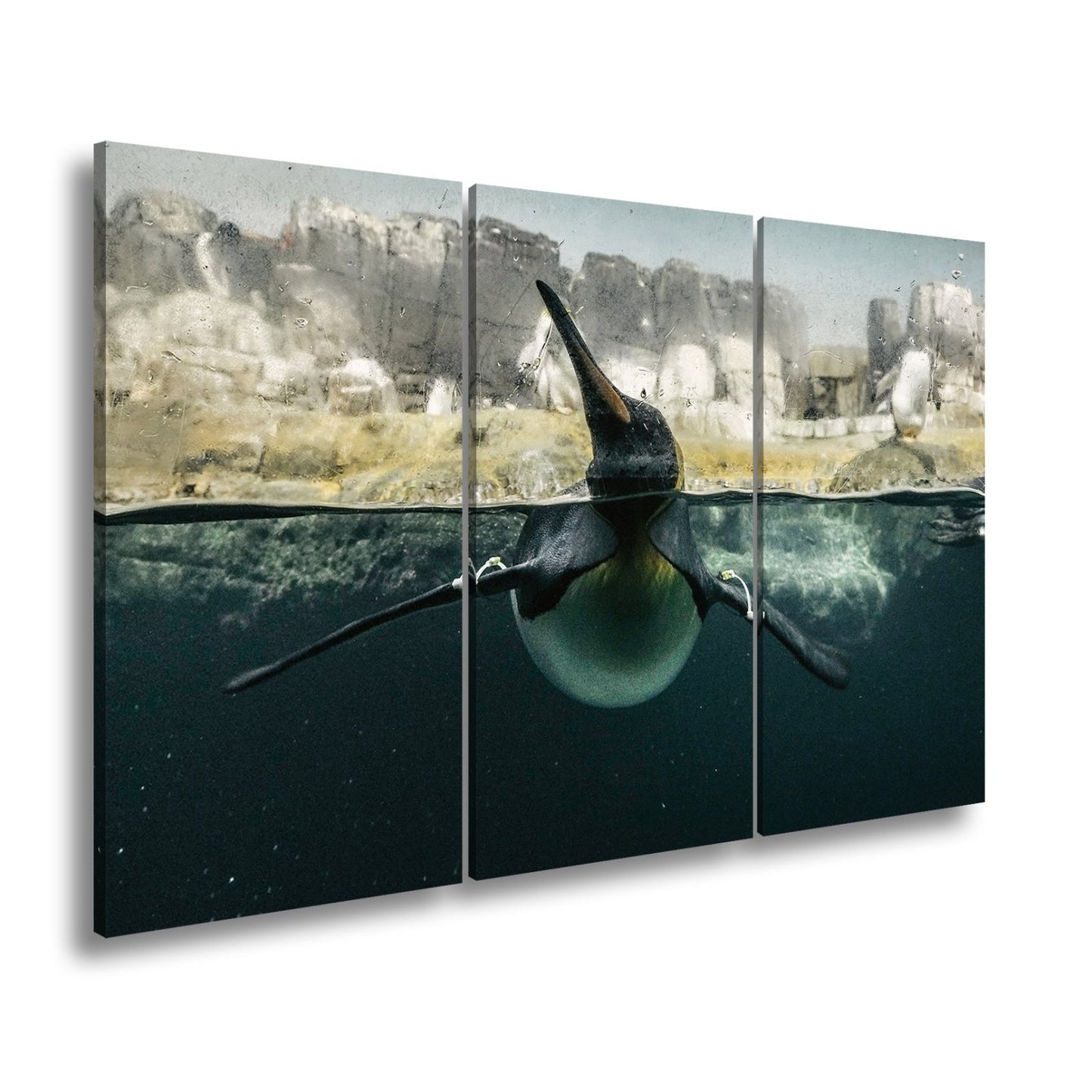 Leinwandbild Pinguin gleitet elegant durch eisiges, klares Wasser. - deyoli