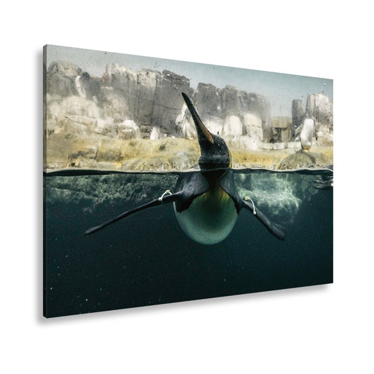 Leinwandbild Pinguin gleitet elegant durch eisiges, klares Wasser. - deyoli