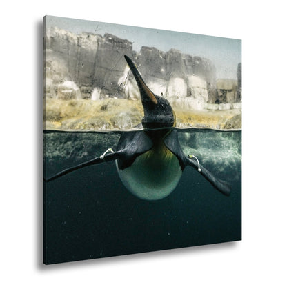 Leinwandbild Pinguin gleitet elegant durch eisiges, klares Wasser. - deyoli