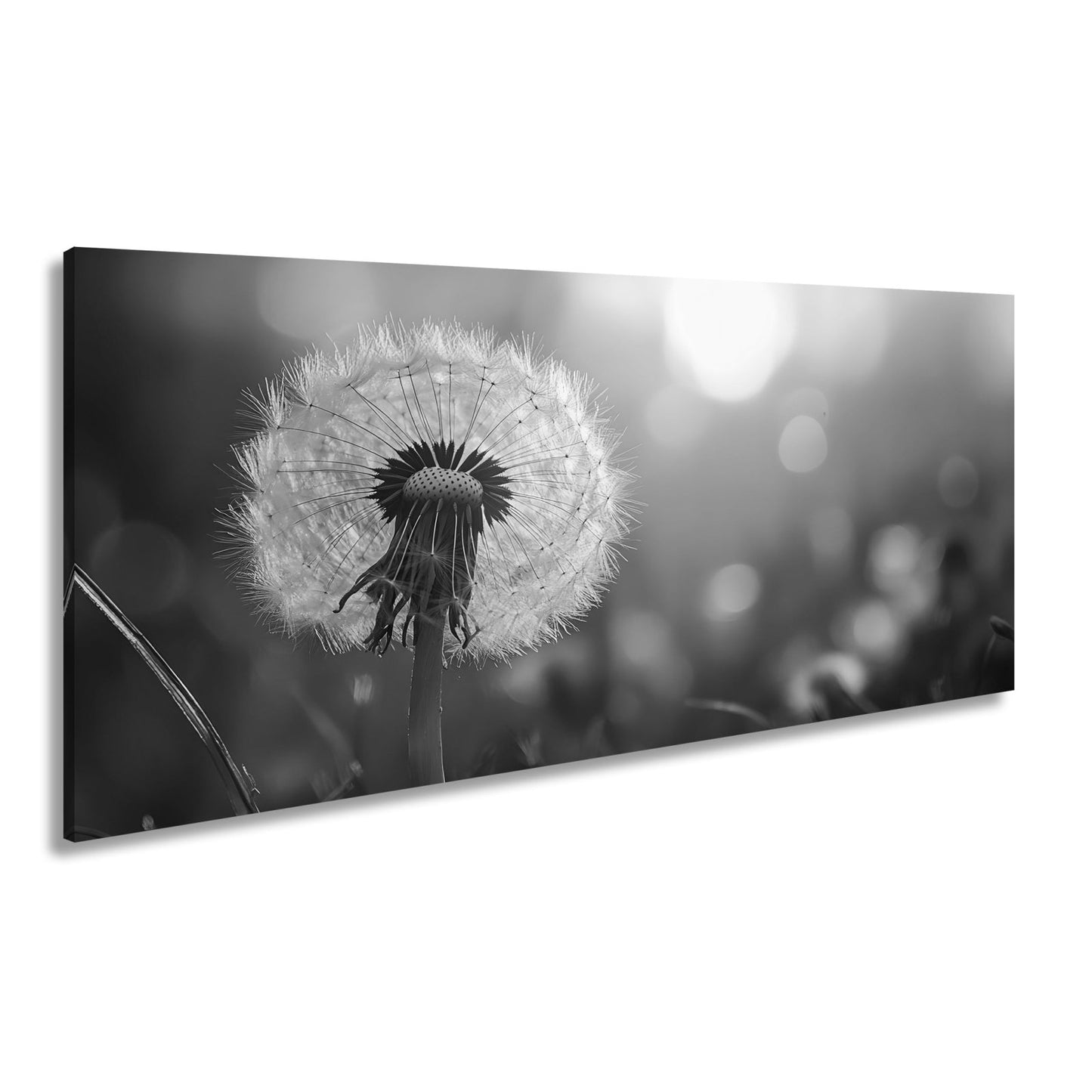 Leinwandbild Pusteblume im Abendlicht – flüchtige Schönheit des Seins. - deyoli