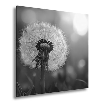 Leinwandbild Pusteblume im Abendlicht – flüchtige Schönheit des Seins. - deyoli