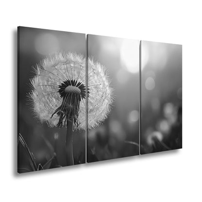 Leinwandbild Pusteblume im Abendlicht – flüchtige Schönheit des Seins. - deyoli