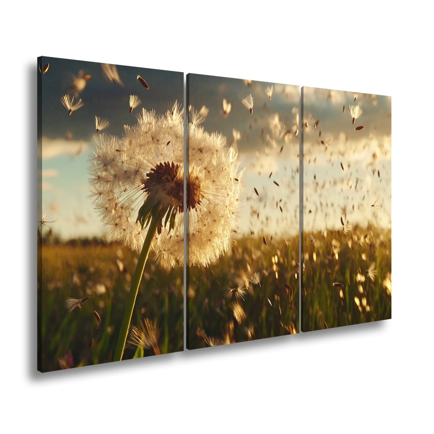 Leinwandbild Pusteblume im Flug – flüchtige Träume im Abendlicht. - deyoli