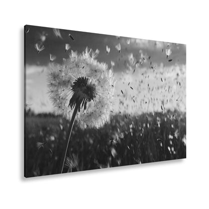 Leinwandbild Pusteblume im Flug – flüchtige Träume im Abendlicht. - deyoli