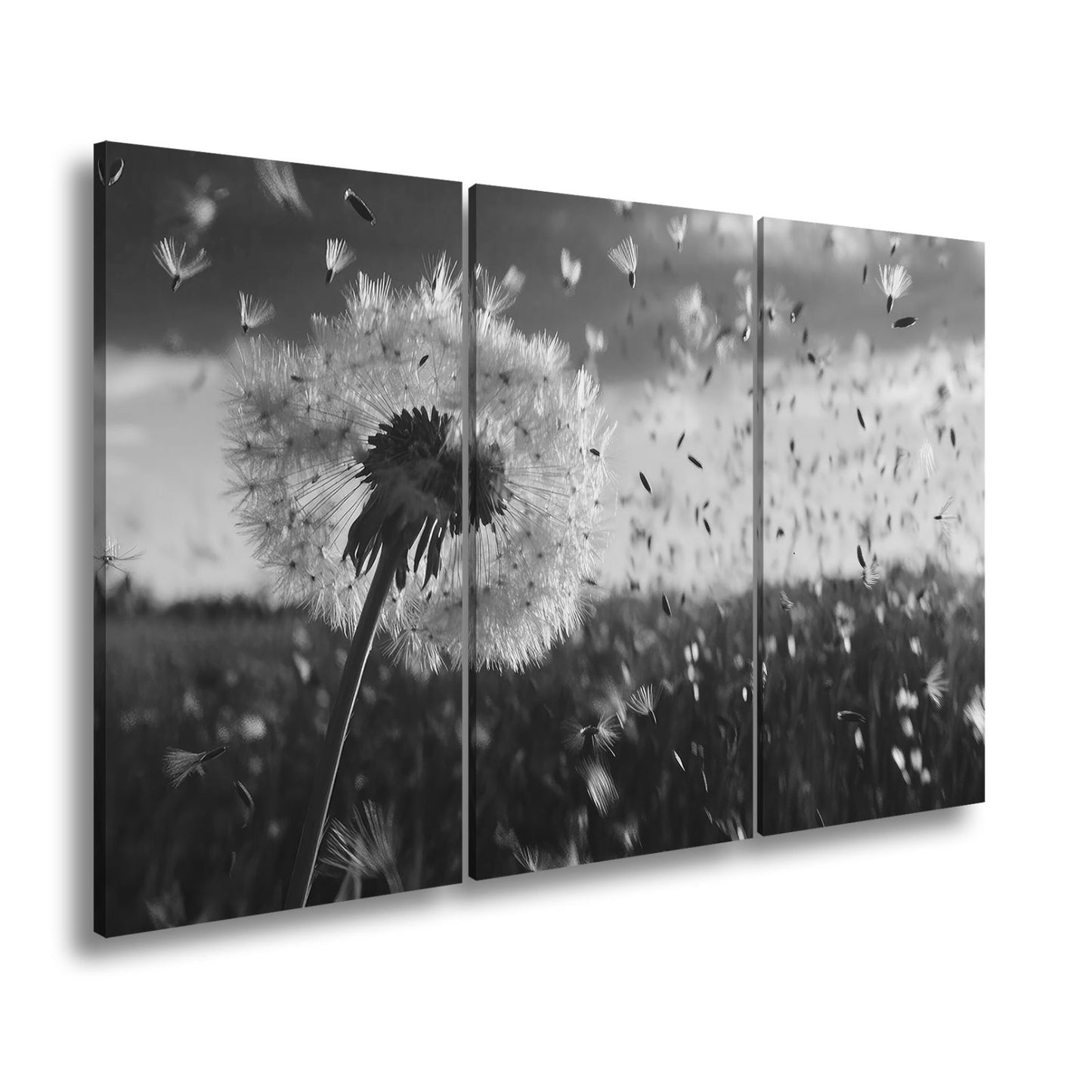 Leinwandbild Pusteblume im Flug – flüchtige Träume im Abendlicht. - deyoli