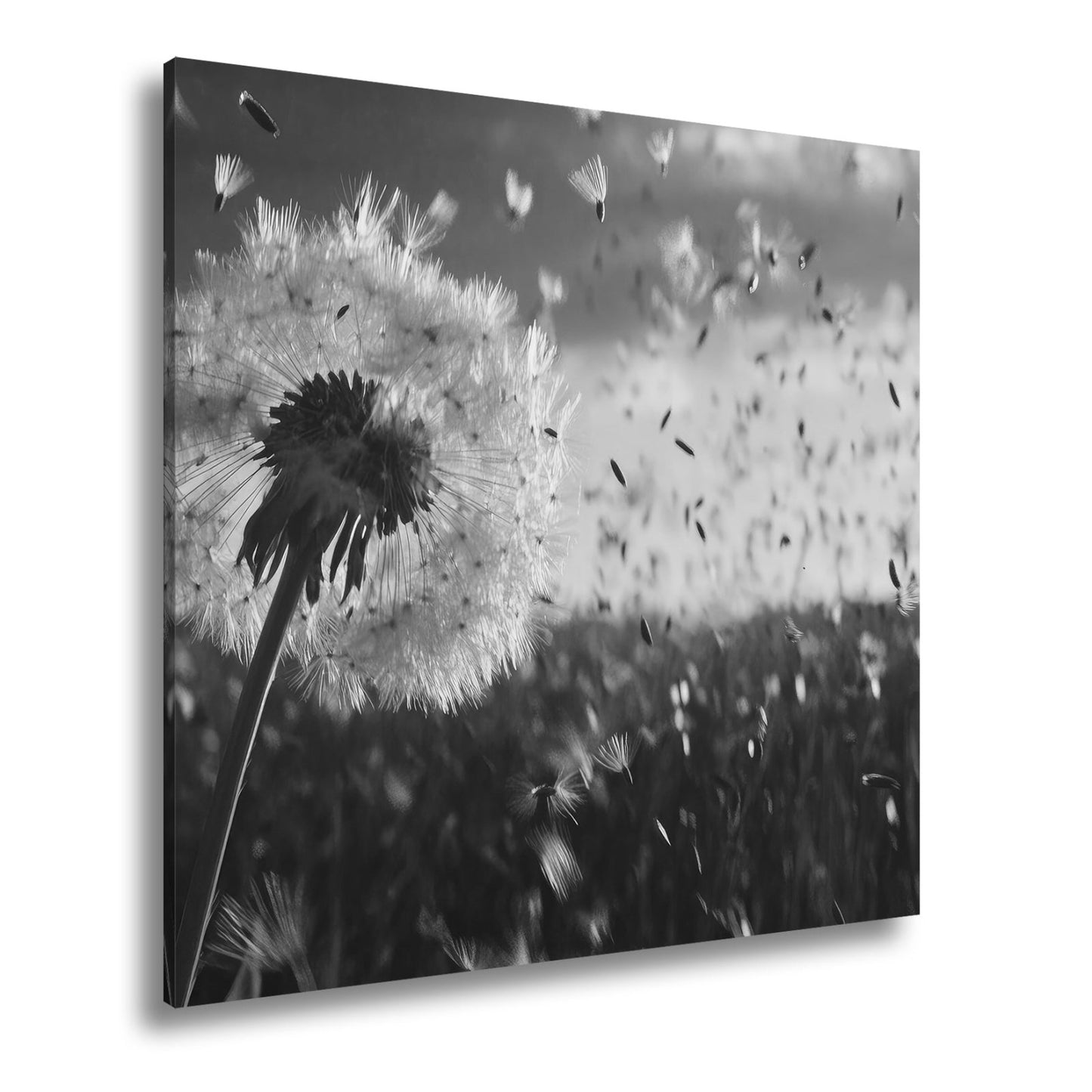 Leinwandbild Pusteblume im Flug – flüchtige Träume im Abendlicht. - deyoli