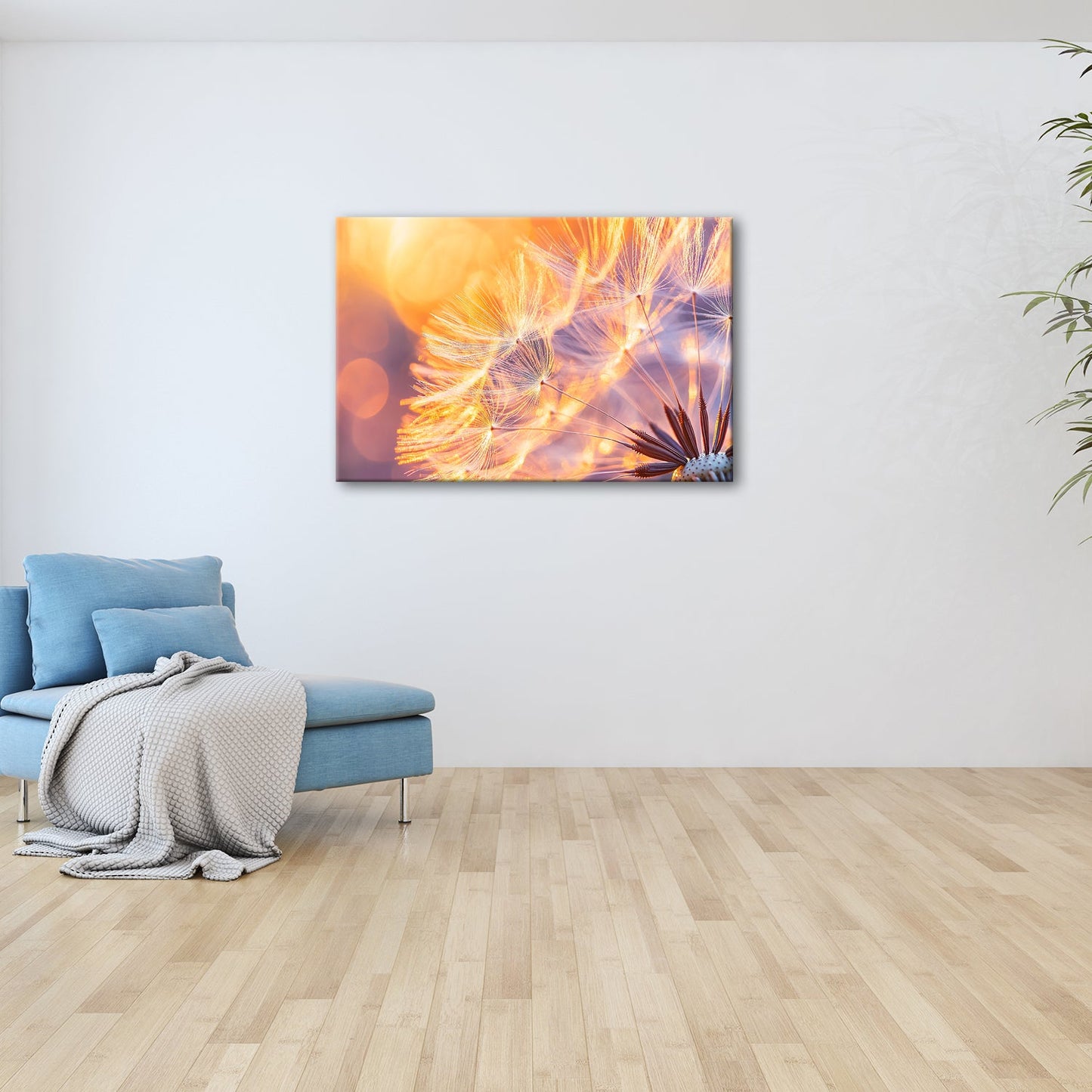 Leinwandbild Pusteblumenlicht tanzt im goldenen Glanz der Abendsonne. - deyoli