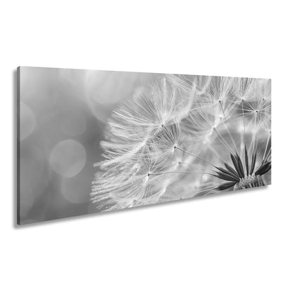 Leinwandbild Pusteblumenlicht tanzt im goldenen Glanz der Abendsonne. - deyoli