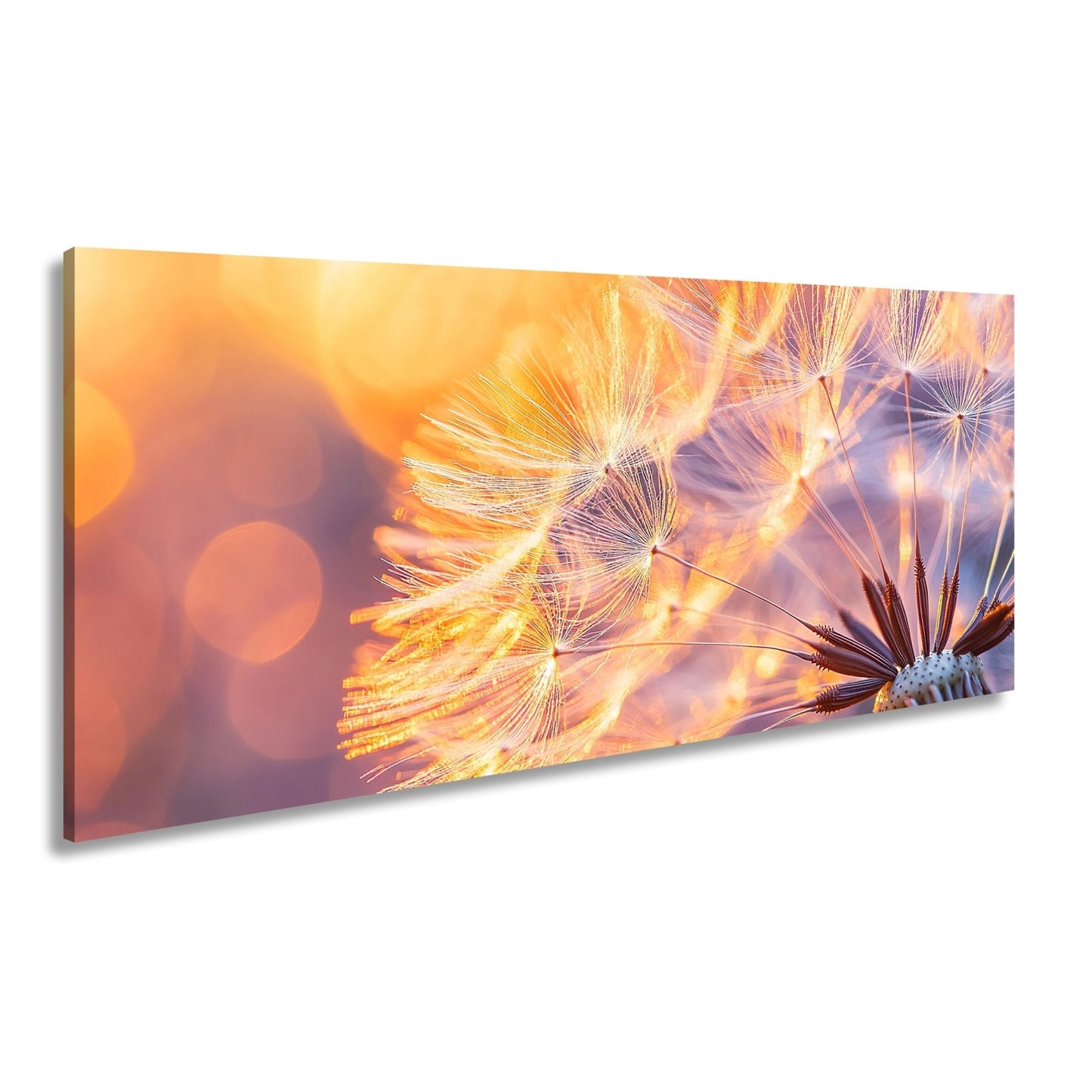 Leinwandbild Pusteblumenlicht tanzt im goldenen Glanz der Abendsonne. - deyoli