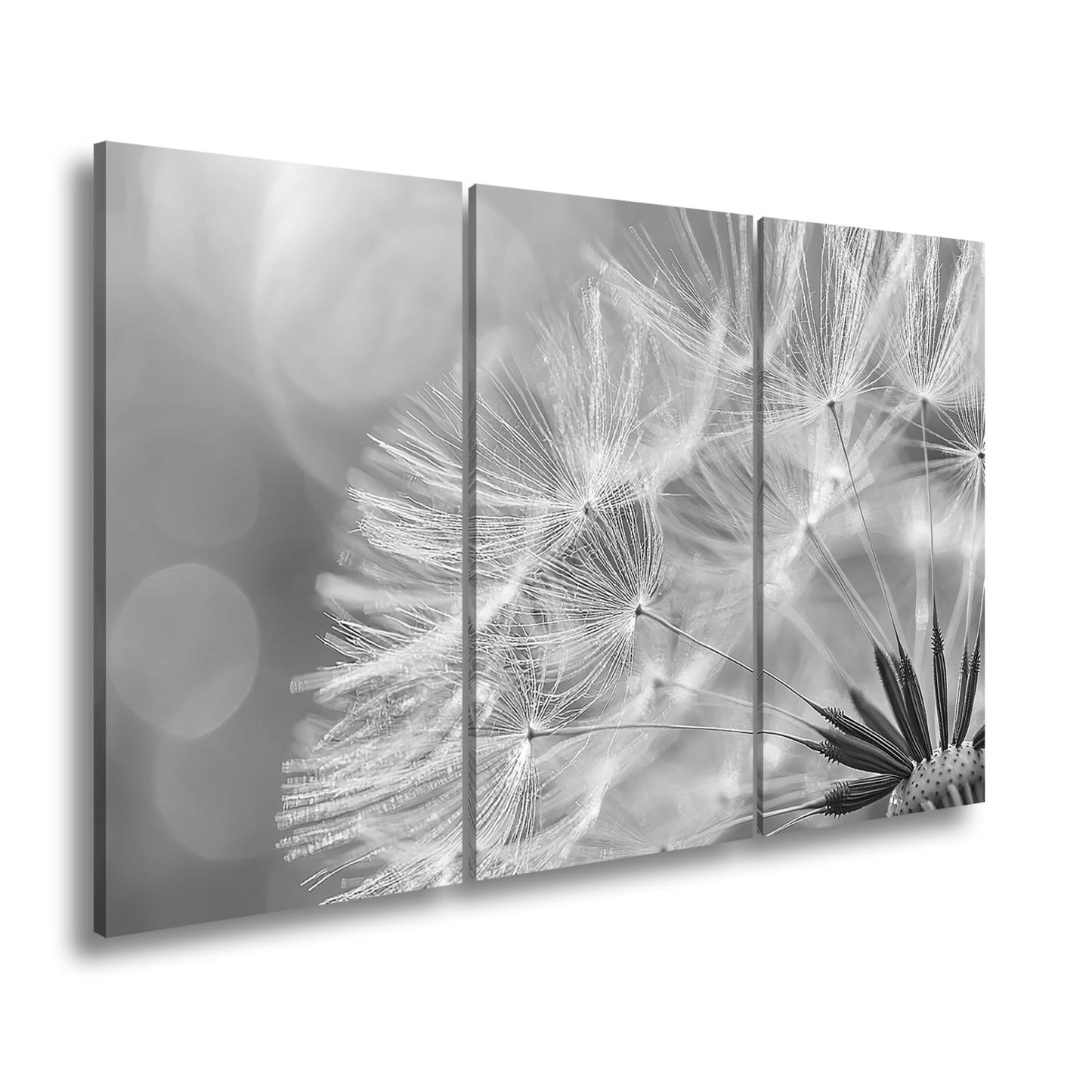 Leinwandbild Pusteblumenlicht tanzt im goldenen Glanz der Abendsonne. - deyoli