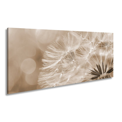 Leinwandbild Pusteblumenlicht tanzt im goldenen Glanz der Abendsonne. - deyoli