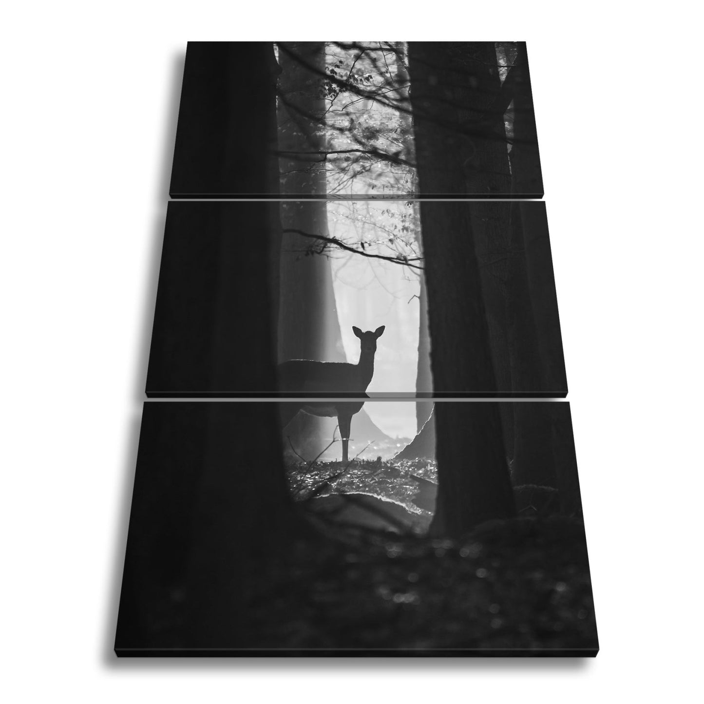 Leinwandbild Reh im Dämmerlicht des Waldes XXL – Wildtiere Wandbild Natur - deyoli
