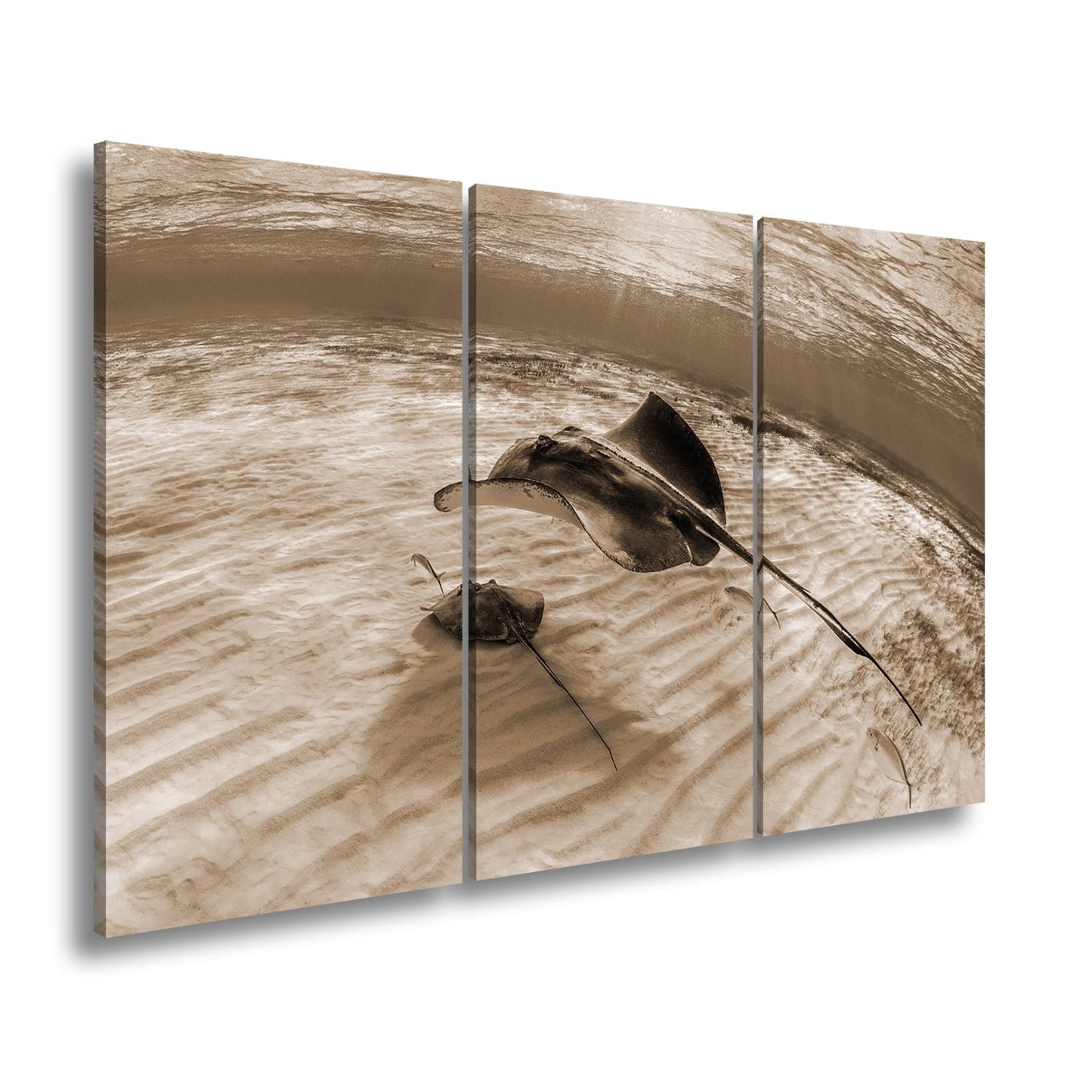 Leinwandbild Rochen schweben elegant – Klares Blau XXL Wandbild - deyoli