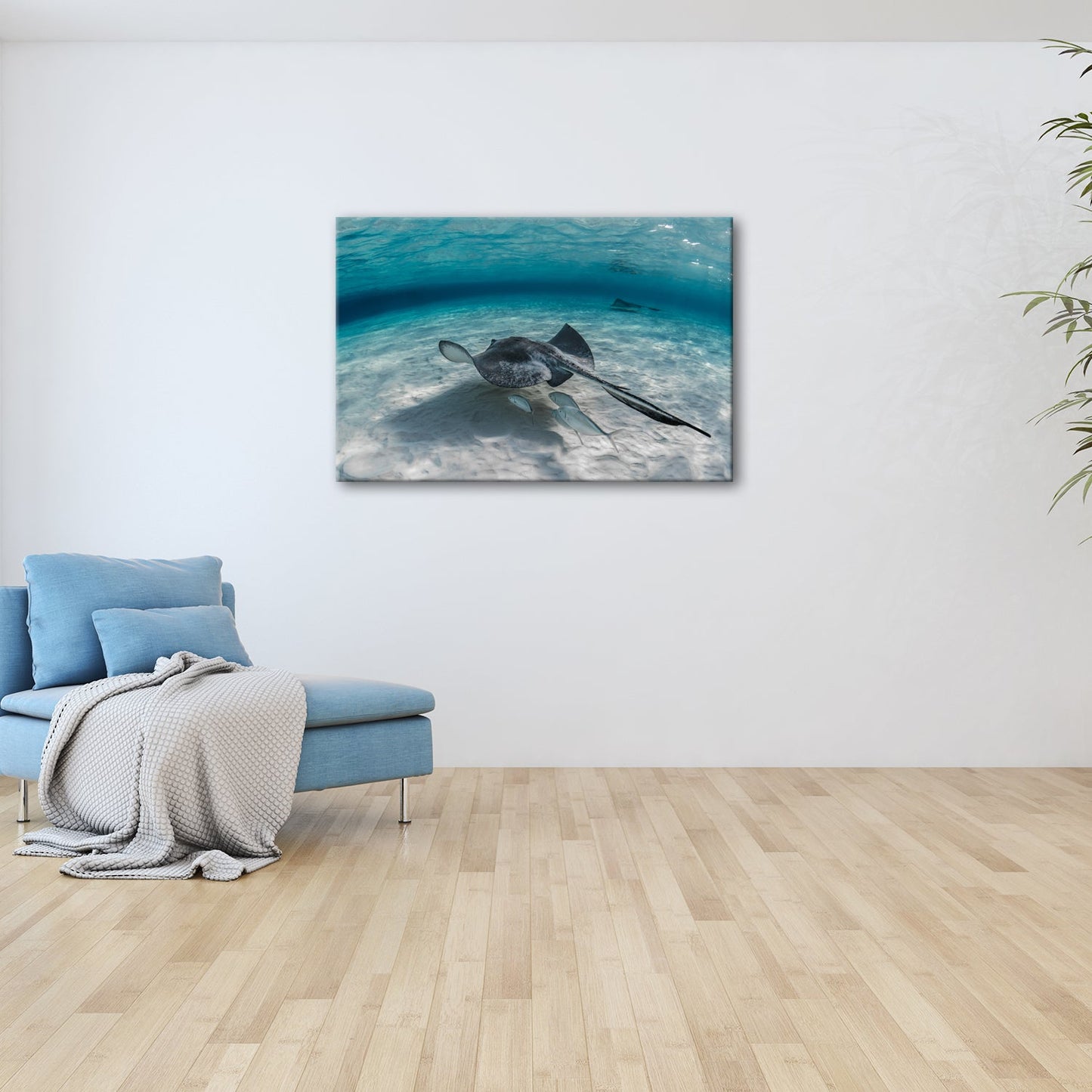 Leinwandbild Rochen XXL – Elegant gleitet über weißen Sand im klaren Ozean - deyoli