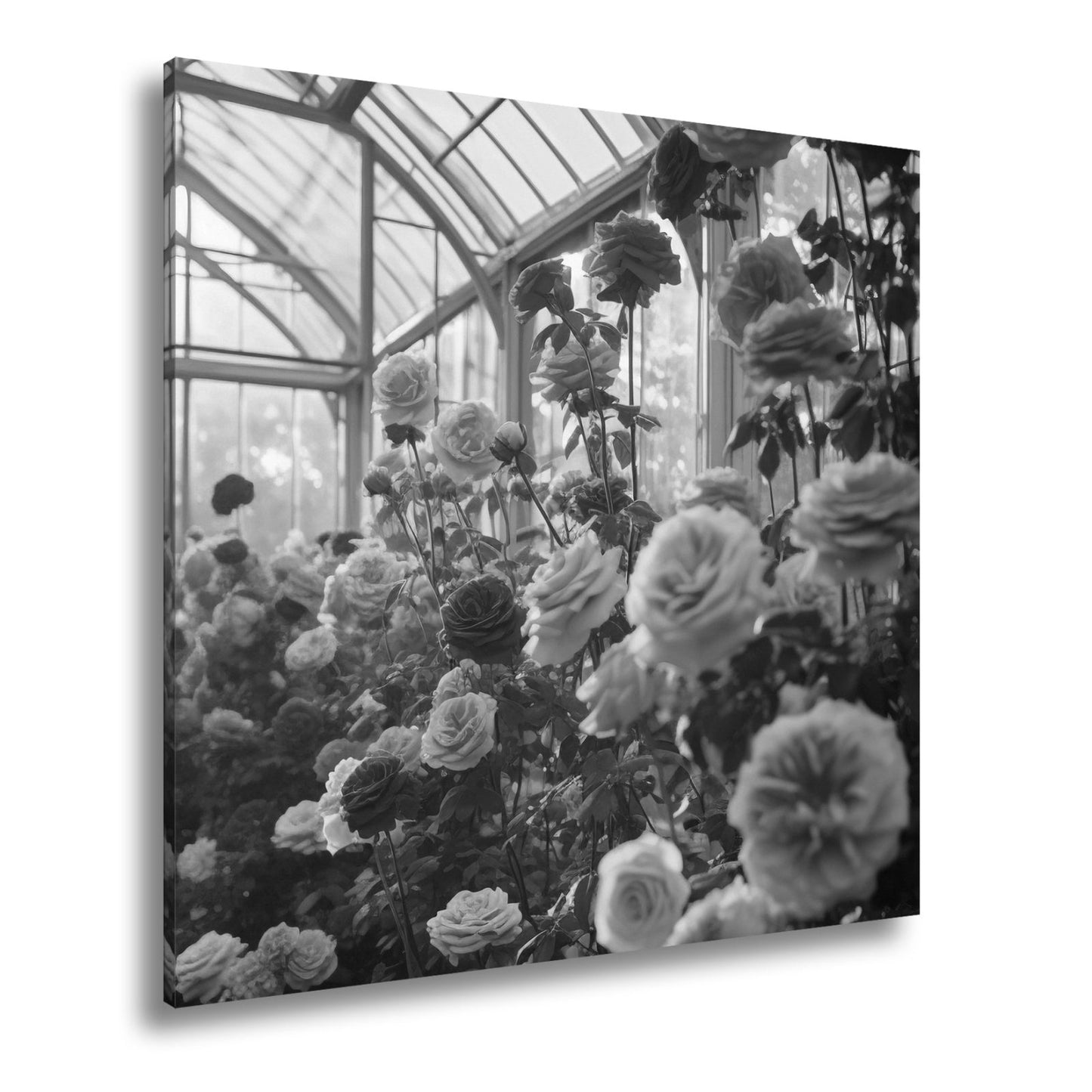 Leinwandbild Rosengarten XXL – Gläsernes Paradies im frühen Morgenlicht - deyoli