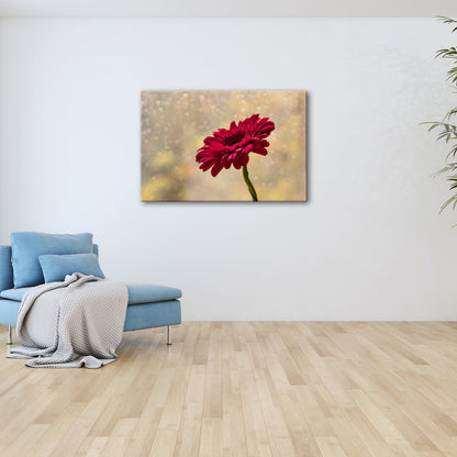 Leinwandbild Rote Blüte leuchtet still vor verregneter Fensterscheibe. - deyoli