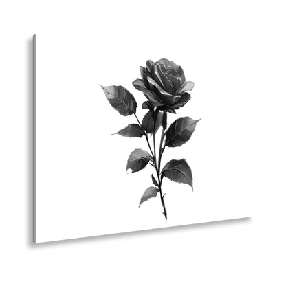Leinwandbild Rote Rose mit dunklem Blattwerk in sanfter Lichtstimmung - deyoli