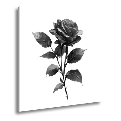 Leinwandbild Rote Rose mit dunklem Blattwerk in sanfter Lichtstimmung - deyoli