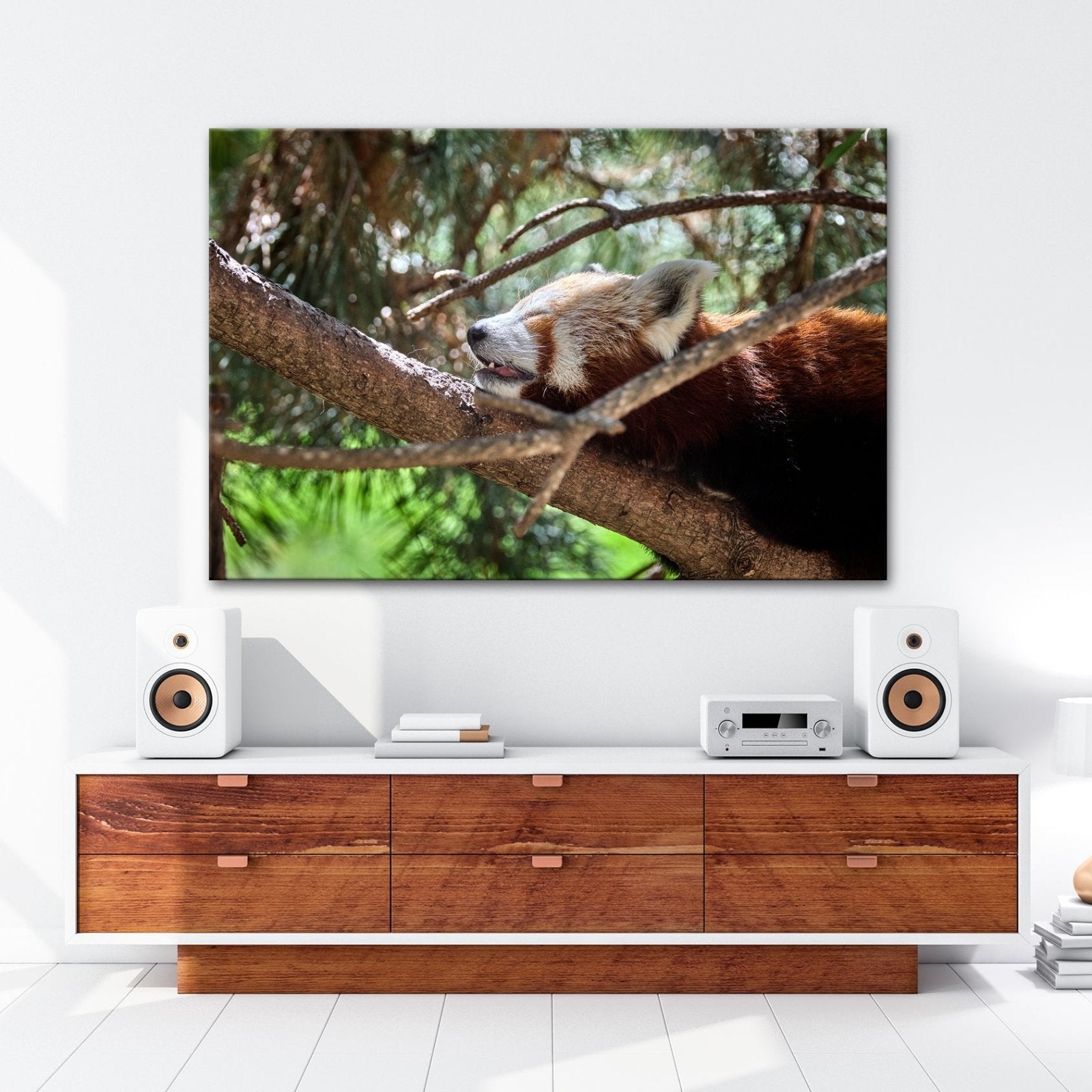 Leinwandbild Roter Panda im Baum XXL – Wandbild Wildtiere Schlafend - deyoli