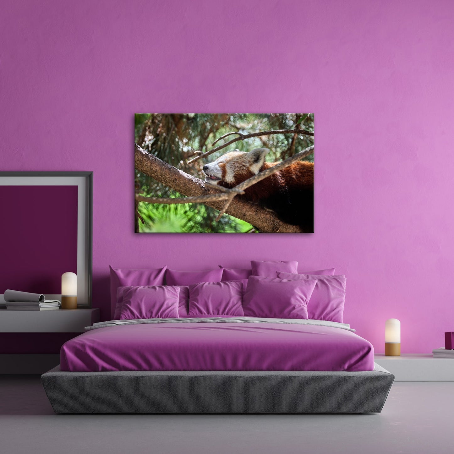 Leinwandbild Roter Panda im Baum XXL – Wandbild Wildtiere Schlafend - deyoli