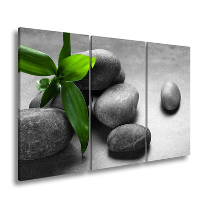Leinwandbild Ruhevolle Steine und Blattgrün – ein Stillleben der Balance. - deyoli