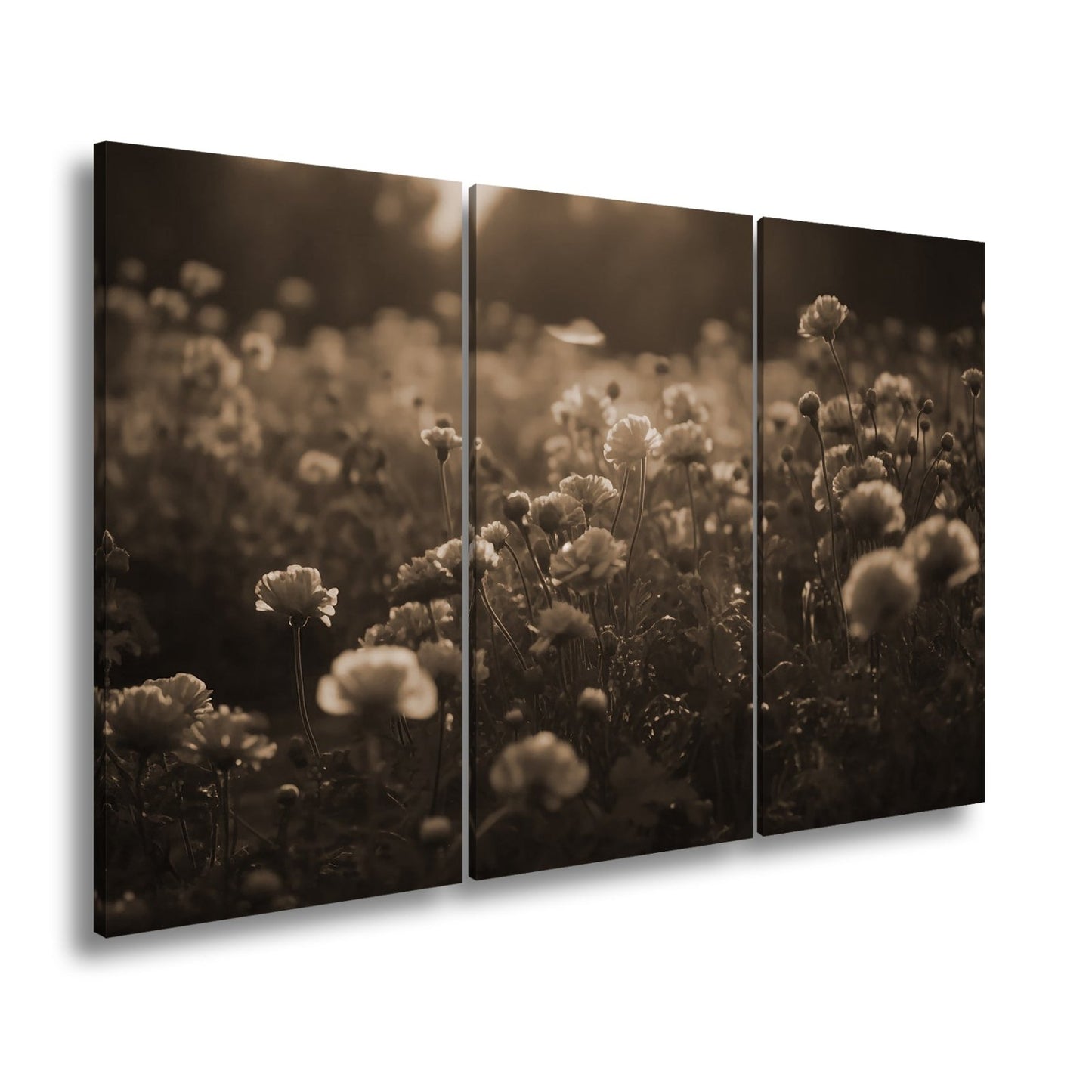 Leinwandbild Sanftes Licht küsst ein Feld aus buttergelben Blumen. - deyoli