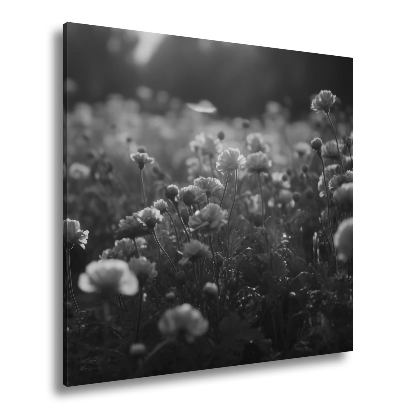 Leinwandbild Sanftes Licht küsst ein Feld aus buttergelben Blumen. - deyoli