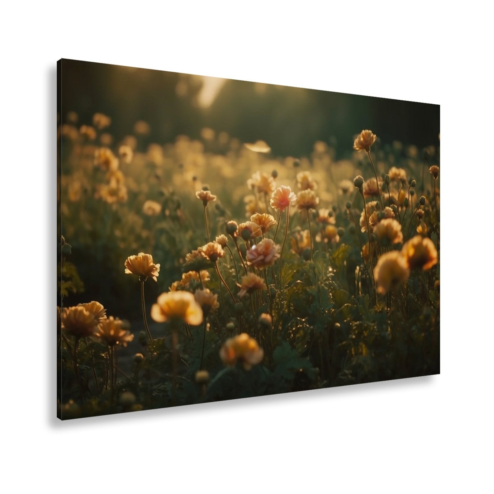 Leinwandbild Sanftes Licht küsst ein Feld aus buttergelben Blumen. - deyoli