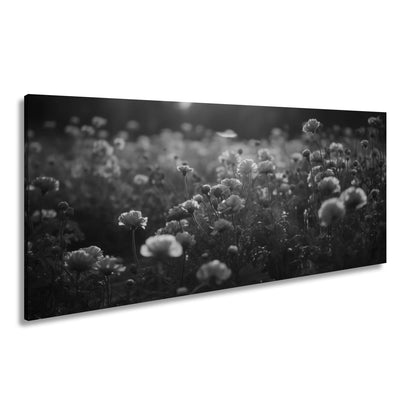 Leinwandbild Sanftes Licht küsst ein Feld aus buttergelben Blumen. - deyoli