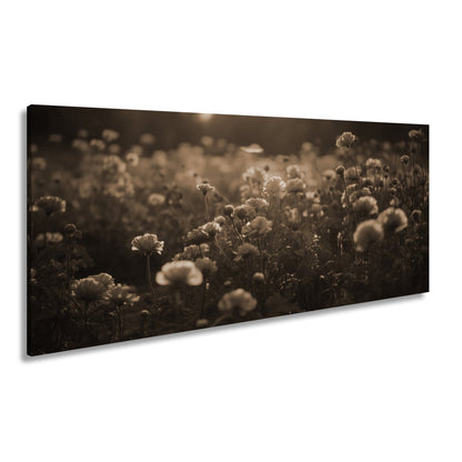 Leinwandbild Sanftes Licht küsst ein Feld aus buttergelben Blumen. - deyoli