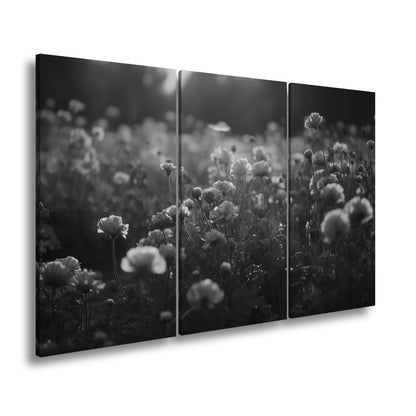 Leinwandbild Sanftes Licht küsst ein Feld aus buttergelben Blumen. - deyoli