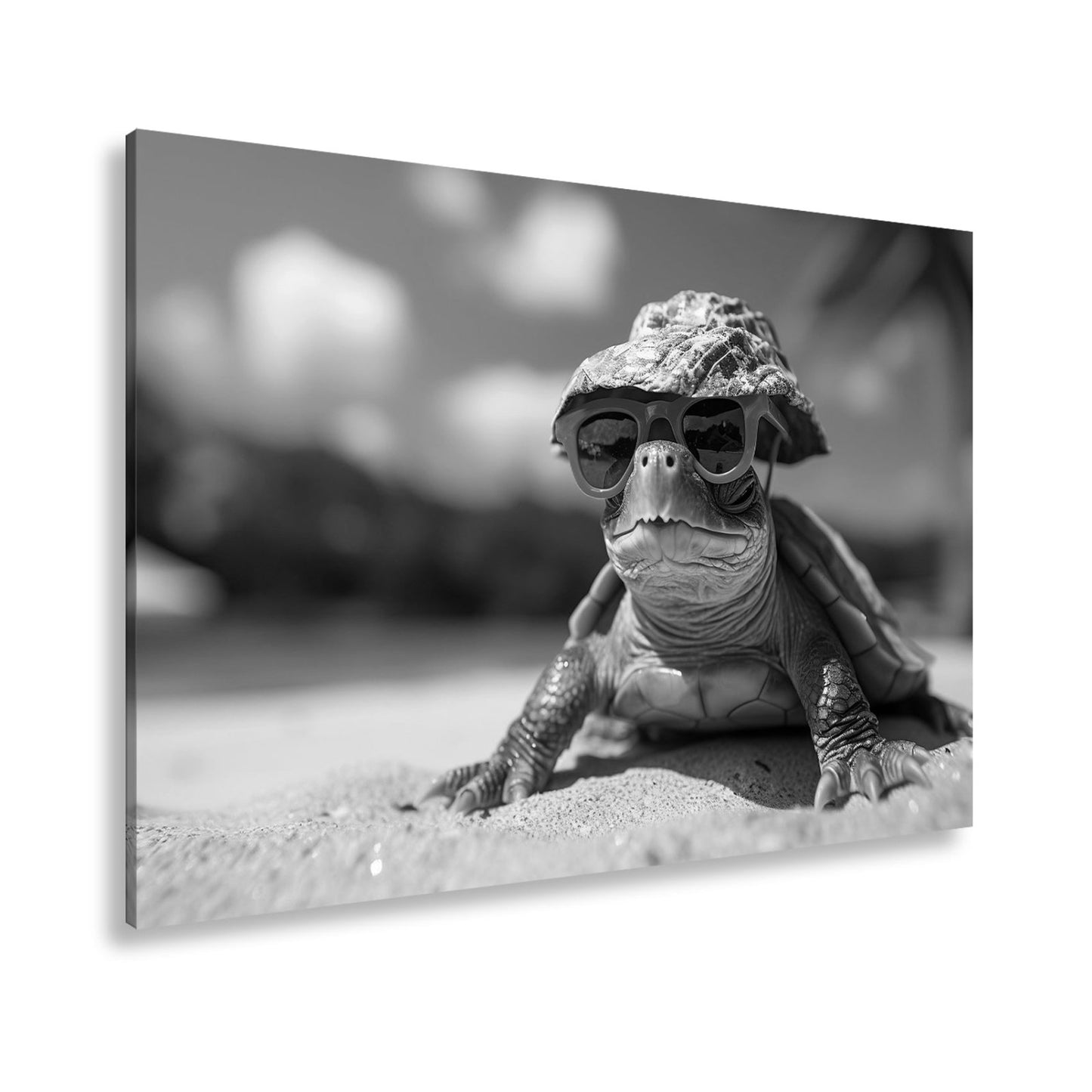 Leinwandbild Schildkröte mit Stil – Sonnenhut, Brille, Strand und Coolness. - deyoli