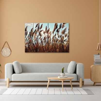Leinwandbild Schilf XXL – Goldenes Tanzen im warmen Sonnenlicht - deyoli