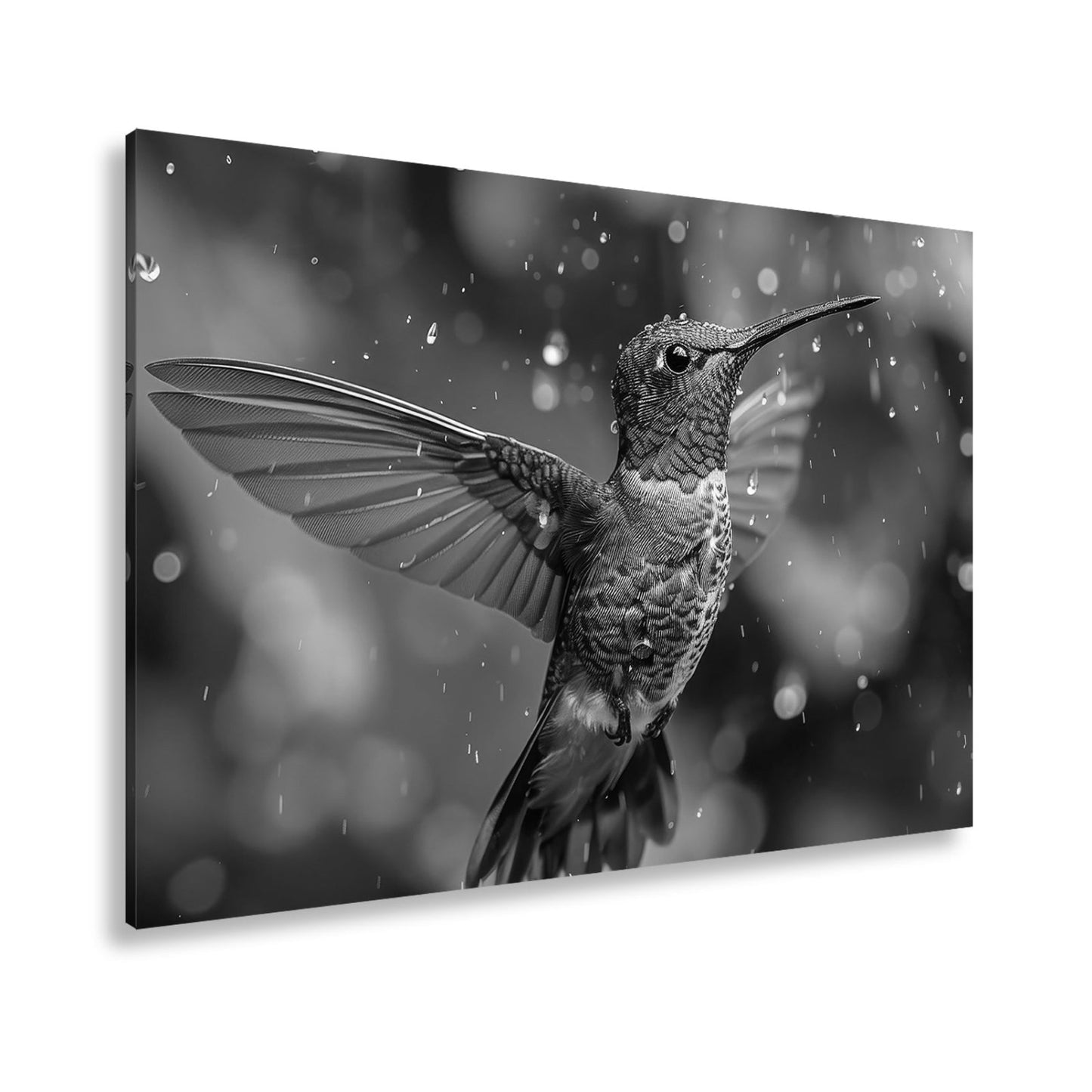 Leinwandbild Schillernd im Regen – ein Kolibri tanzt mit Tropfen. - deyoli