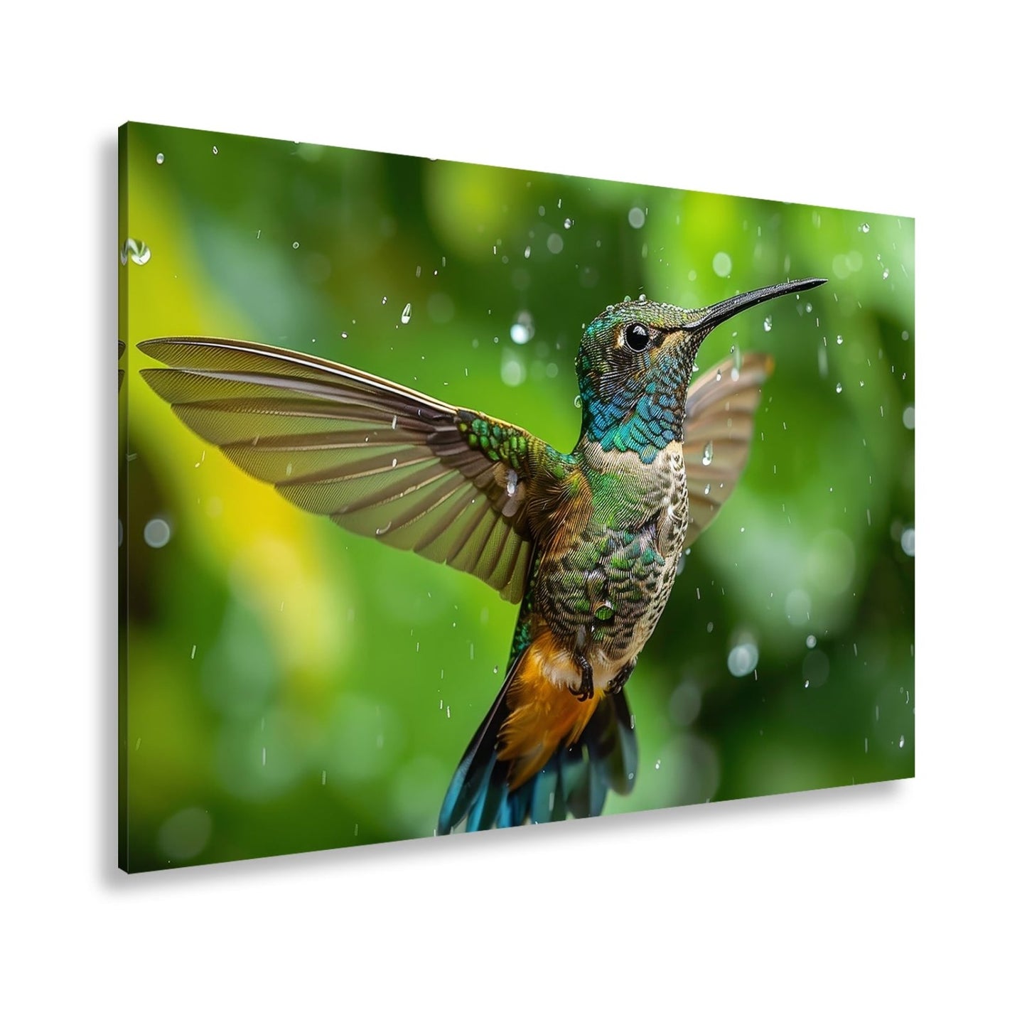 Leinwandbild Schillernd im Regen – ein Kolibri tanzt mit Tropfen. - deyoli