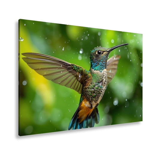 Leinwandbild Schillernd im Regen – ein Kolibri tanzt mit Tropfen. - deyoli