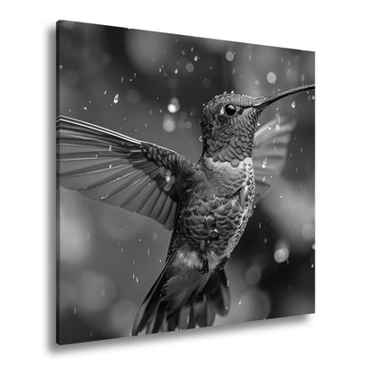 Leinwandbild Schillernd im Regen – ein Kolibri tanzt mit Tropfen. - deyoli