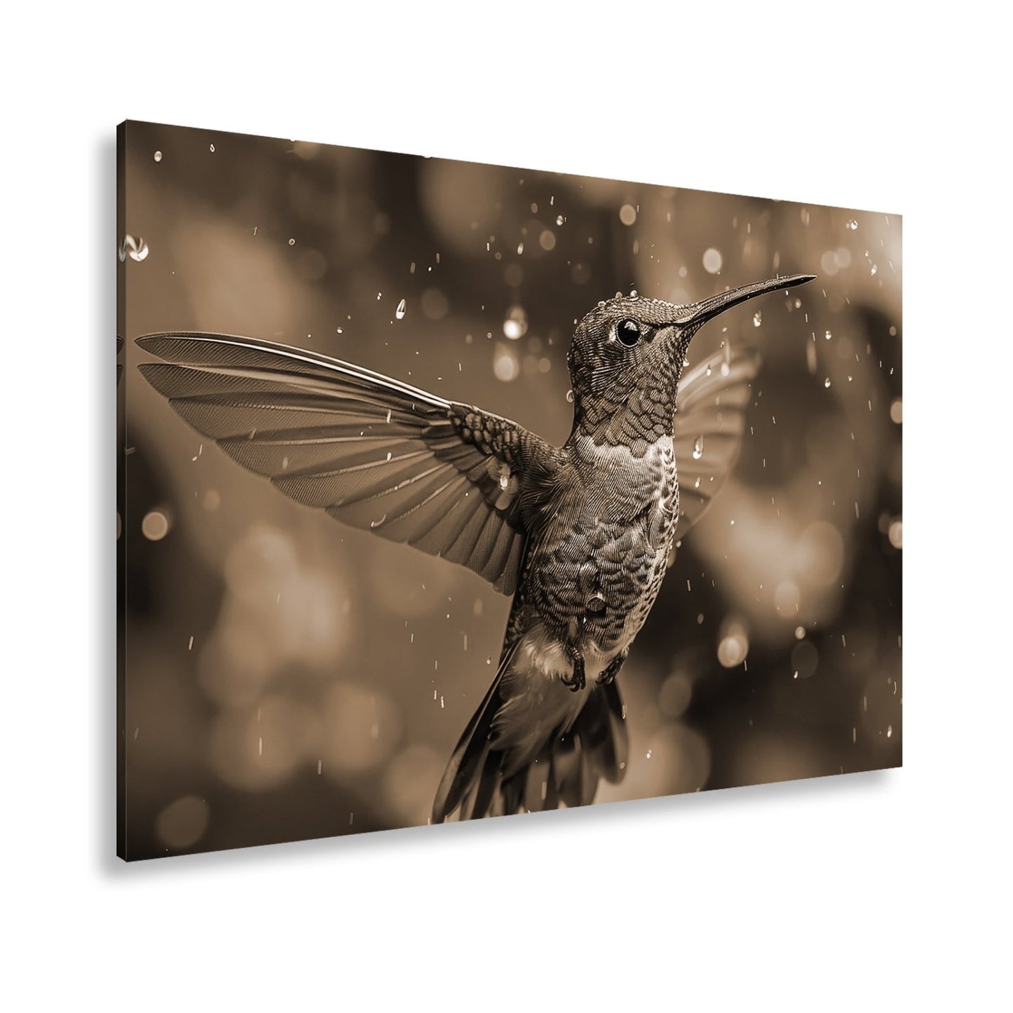 Leinwandbild Schillernd im Regen – ein Kolibri tanzt mit Tropfen. - deyoli