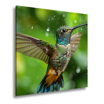 Leinwandbild Schillernd im Regen – ein Kolibri tanzt mit Tropfen. - deyoli