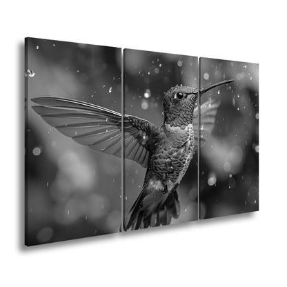 Leinwandbild Schillernd im Regen – ein Kolibri tanzt mit Tropfen. - deyoli