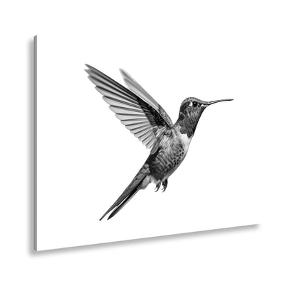 Leinwandbild Schillernder Kolibri in eleganter Flugpose - deyoli