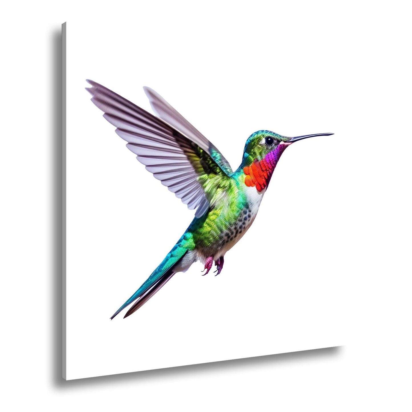 Leinwandbild Schillernder Kolibri in eleganter Flugpose - deyoli