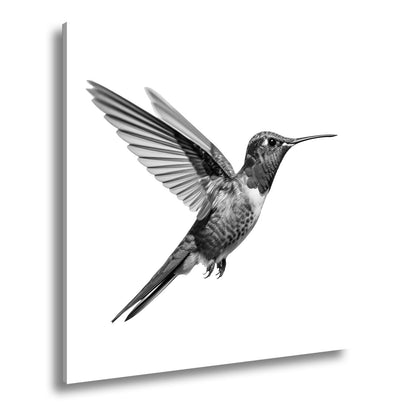 Leinwandbild Schillernder Kolibri in eleganter Flugpose - deyoli