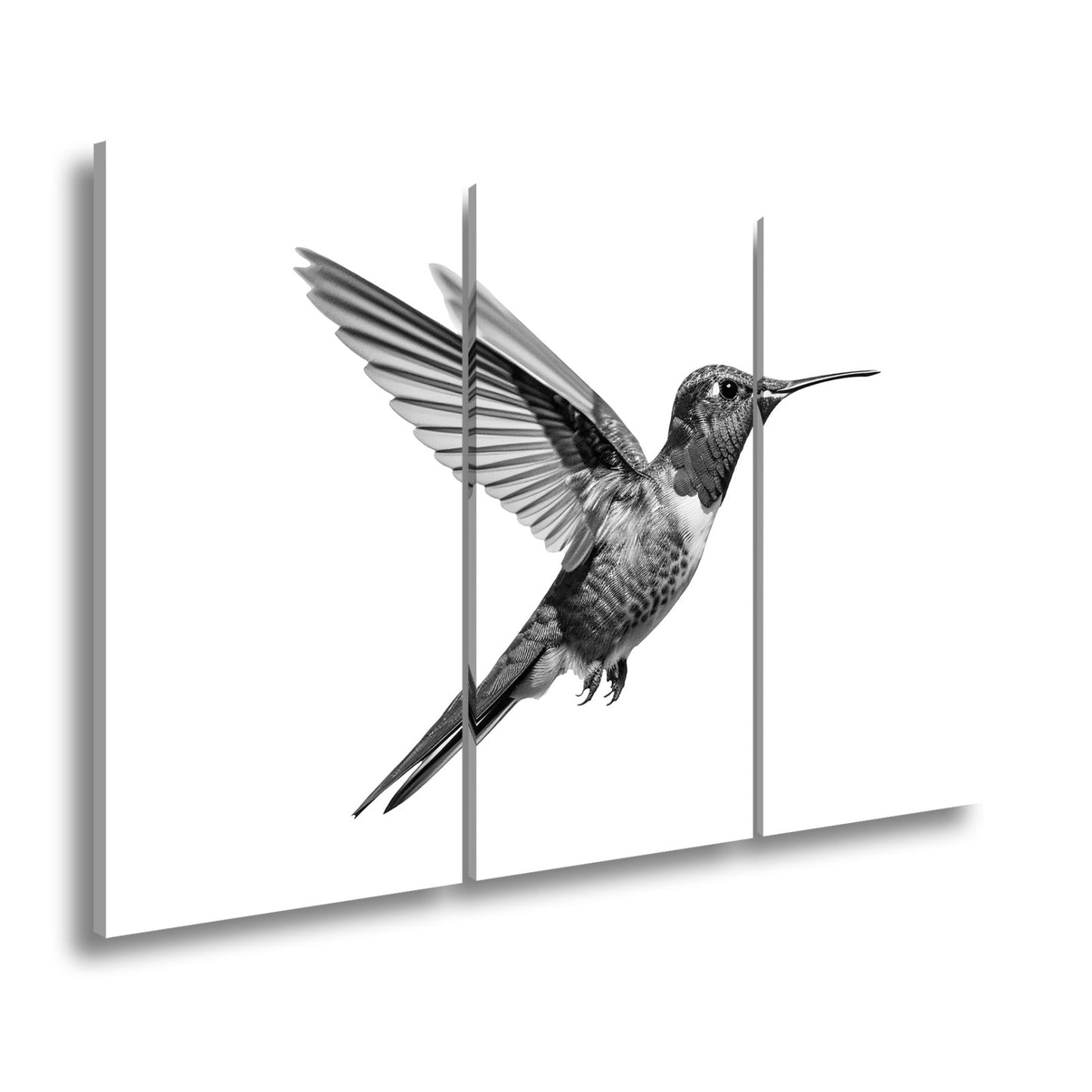 Leinwandbild Schillernder Kolibri in eleganter Flugpose - deyoli