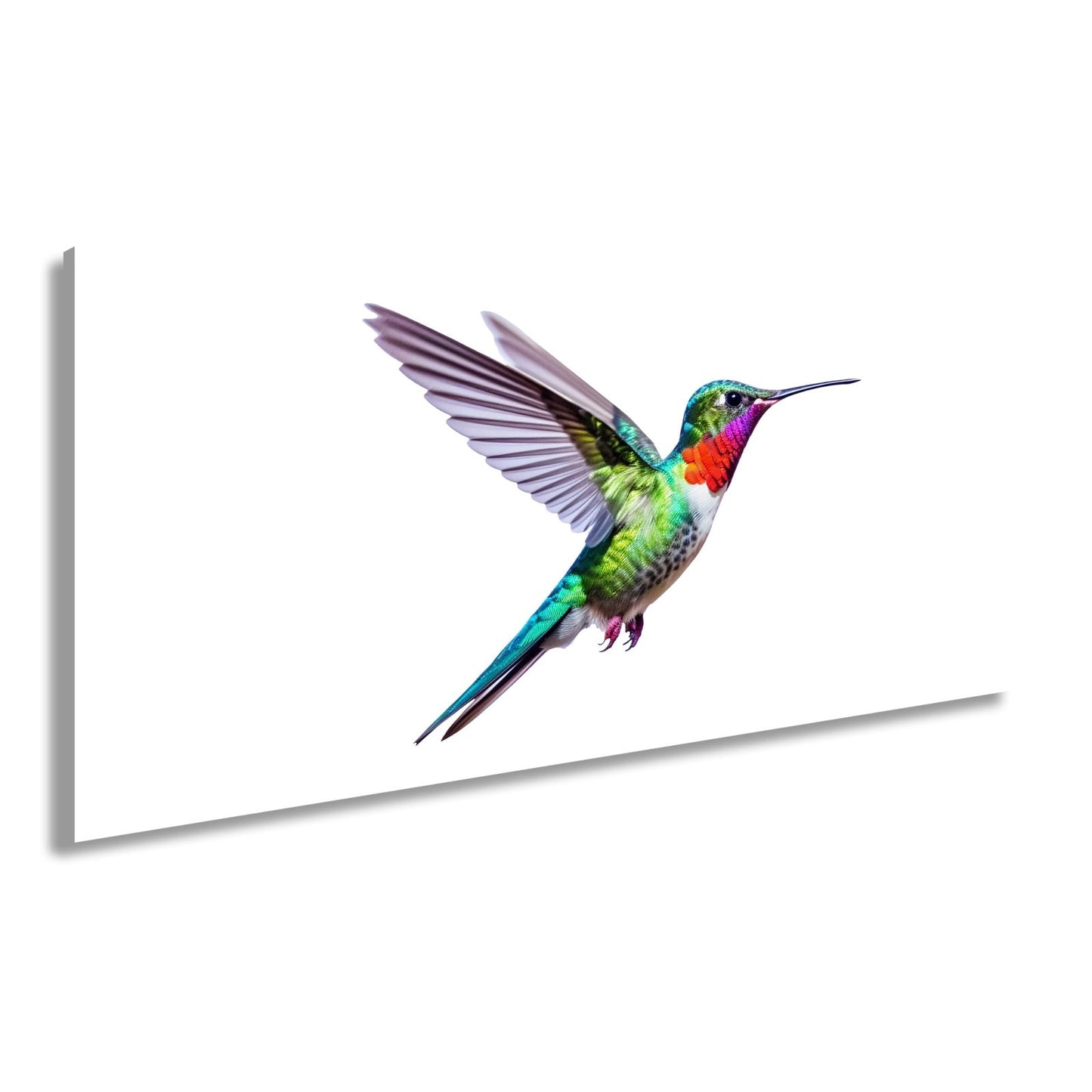 Leinwandbild Schillernder Kolibri in eleganter Flugpose - deyoli