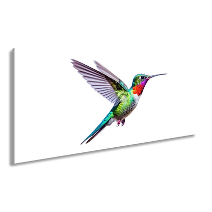 Leinwandbild Schillernder Kolibri in eleganter Flugpose - deyoli